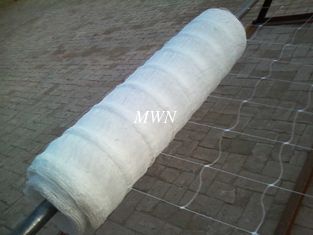 China plant climbing netting, extruded netting, 10cm, 15cm holes proveedor