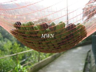 China Olive Nets for olive harvest proveedor