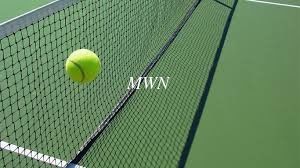 China Black, knotless Tennis Nets proveedor