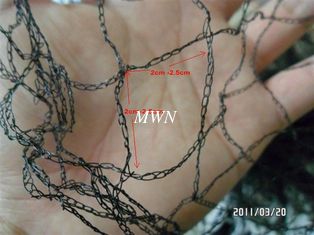 China 2.5 x 2.5cm light bird netting for garden proveedor