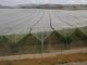 Anti Hail Net for protect your plant, vegetables, fruits proveedor